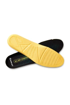 Hot Women Footwear Accessories