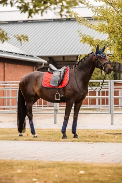 Hot B Vertigo Amory Dressage Saddle Pad with Monogram Embroidery Dressage Saddle Pads