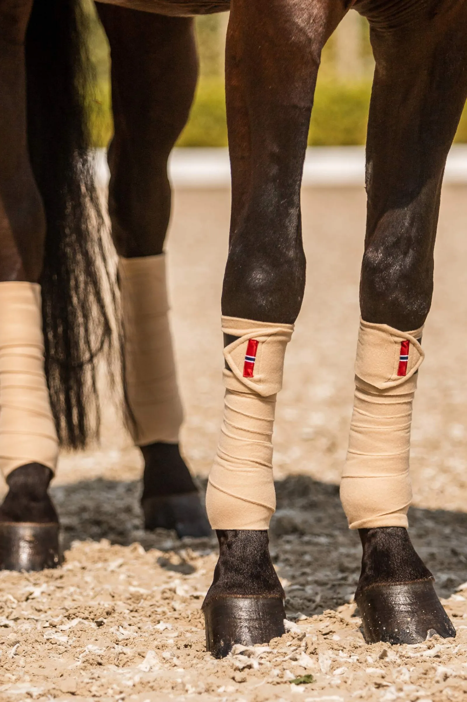 Clearance B Vertigo Amory Fleece Bandages Horse Bandages
