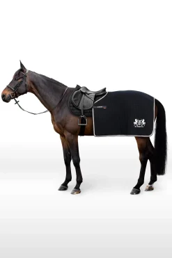 Online B Vertigo Concord Exercise Rug Exercise Sheets & Quarter Sheets