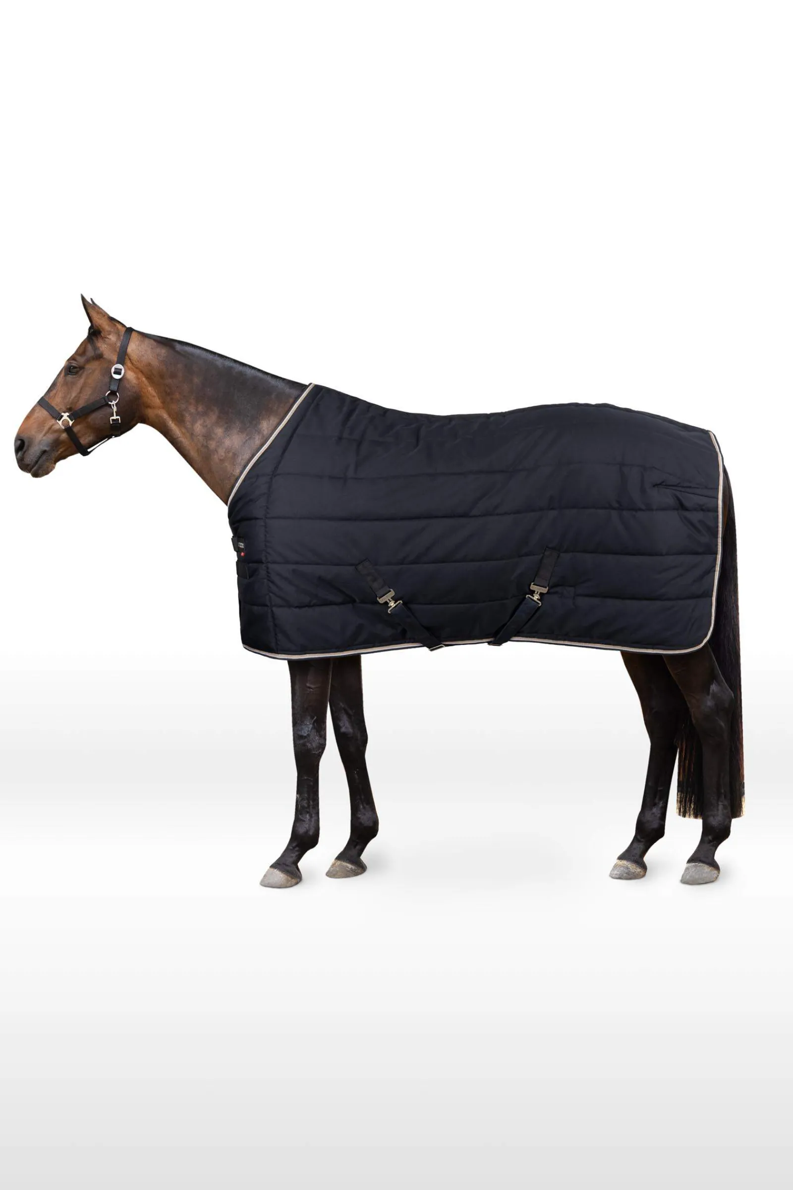 New B Vertigo Corey Stable Rug, 250g Stable Rugs & Liners