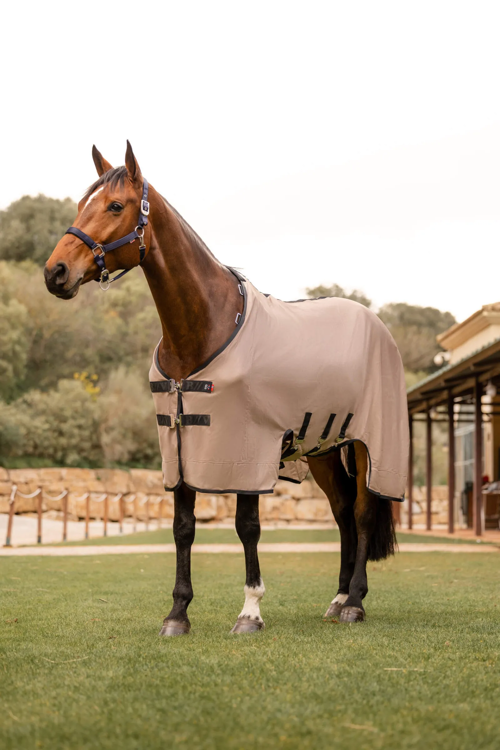 Fashion B Vertigo Delux Fly Rug with Detachable Neck and UV Protection Fly Rugs|Fly Rugs