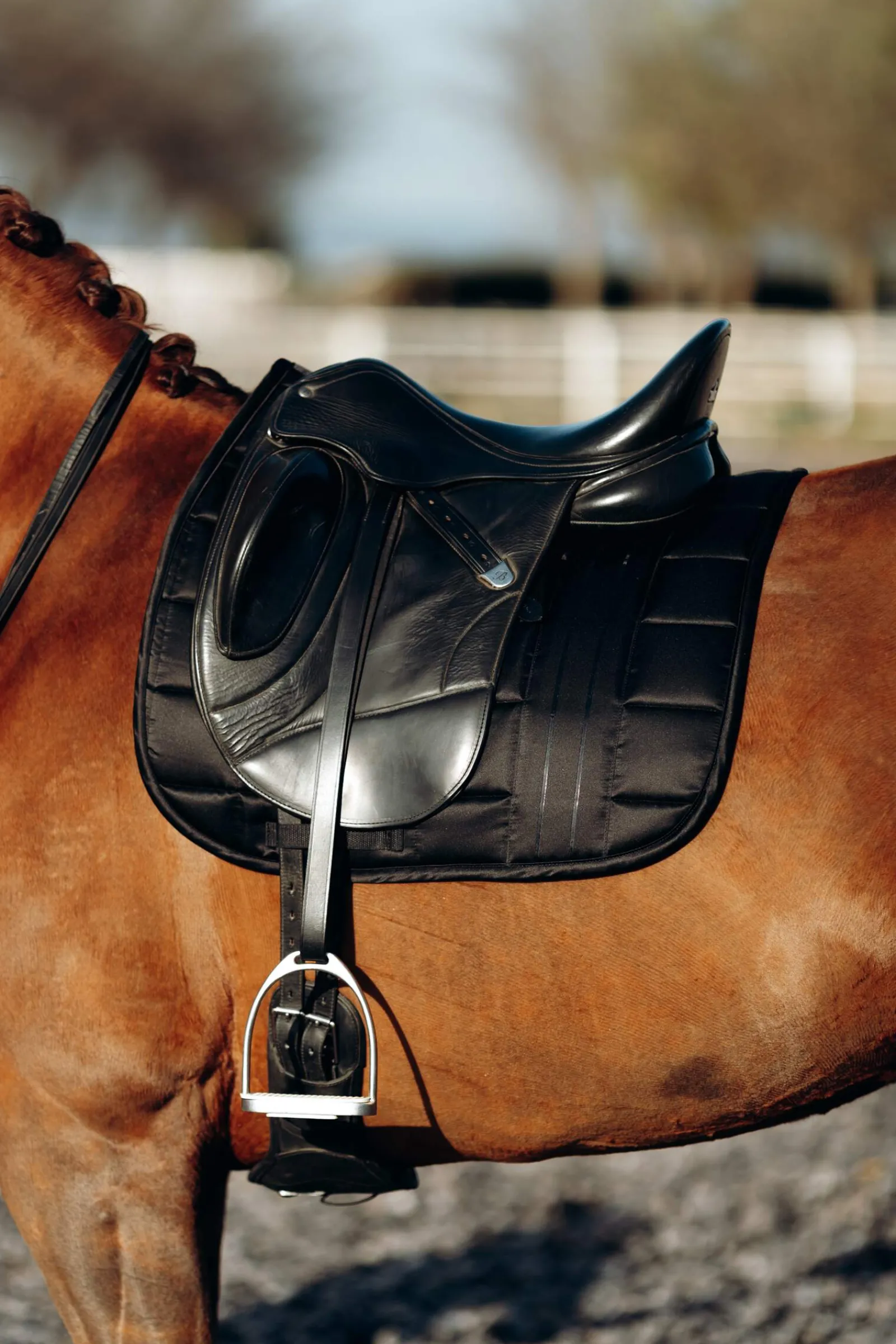 Discount B Vertigo Drew Dressage Saddle Pad Dressage Saddle Pads