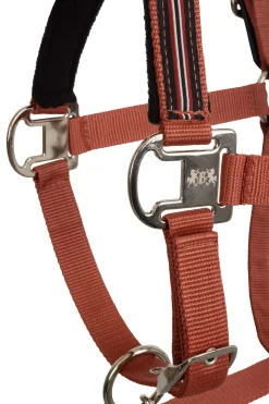 Fashion B Vertigo Empowerment Field-Safe Halter Headcollars & Halters
