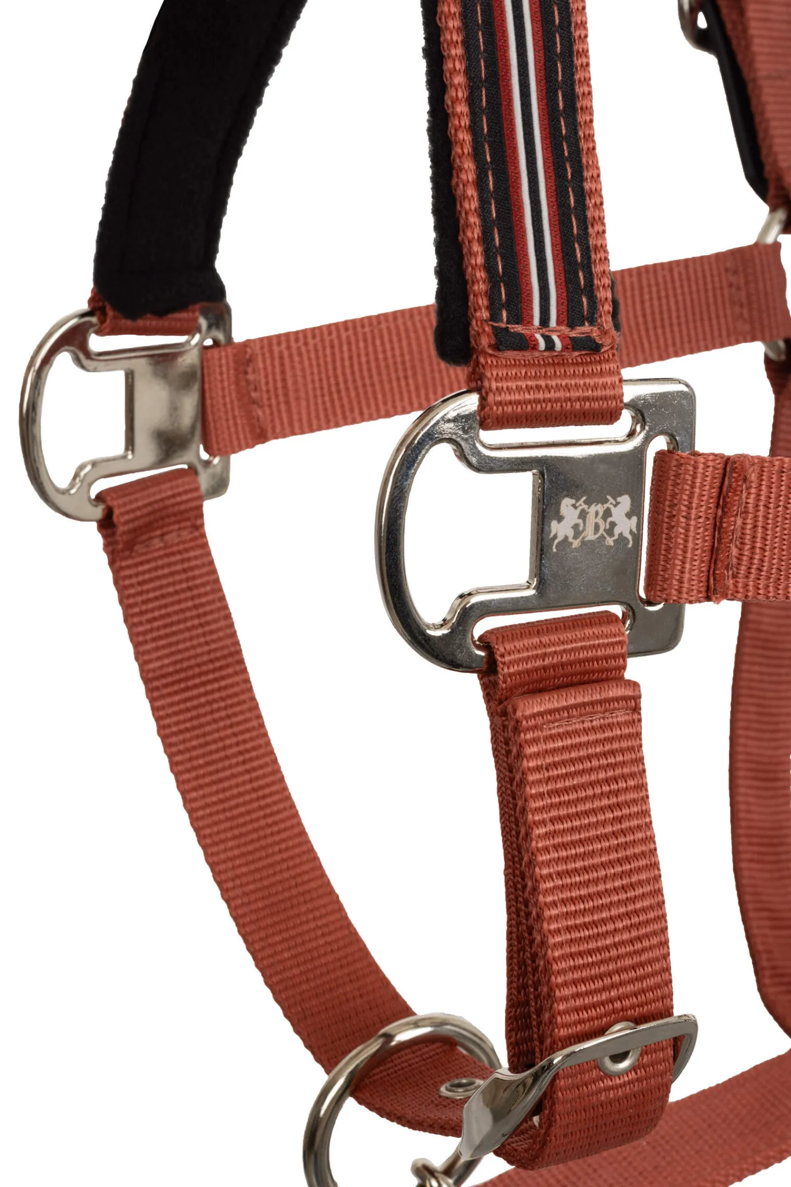 Fashion B Vertigo Empowerment Field-Safe Halter Headcollars & Halters