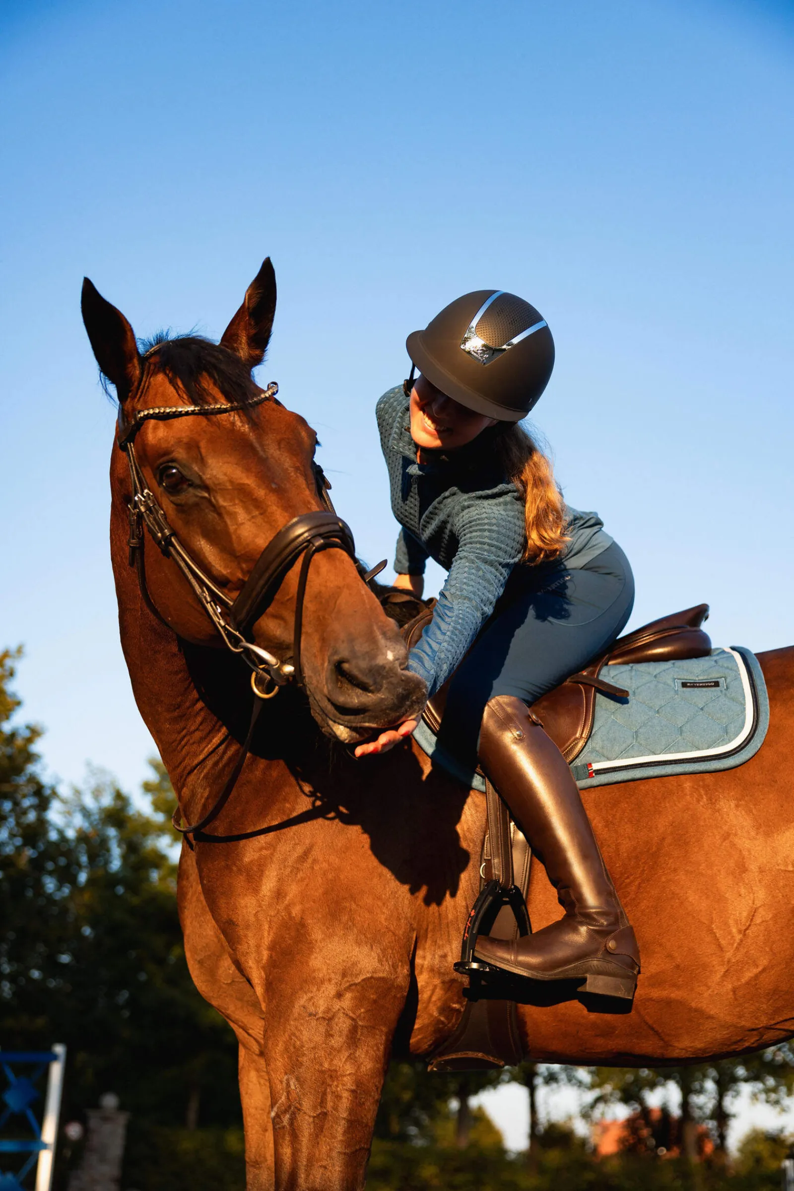 Online B Vertigo High Altitude GP Saddle Pad Pony Saddle Pads|All Purpose & Jumping Saddle Pads