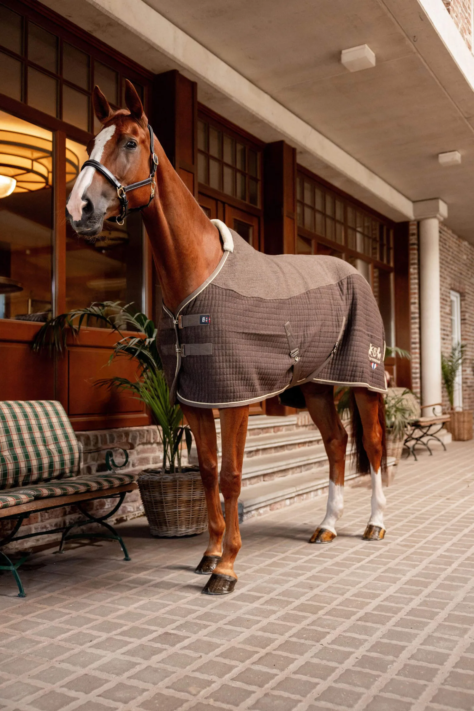 Hot B Vertigo High Altitude Wool Mix Cooler Fleece Horse Rugs & Cooler Rugs