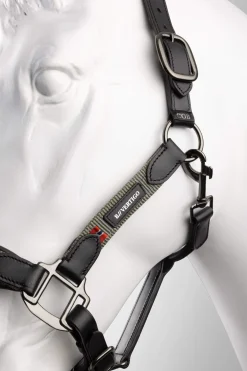Online B Vertigo Lennox Leather Halter Leather Headcollars|Headcollars & Halters