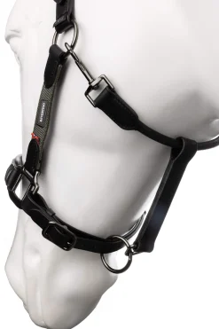 Online B Vertigo Lennox Leather Halter Leather Headcollars|Headcollars & Halters