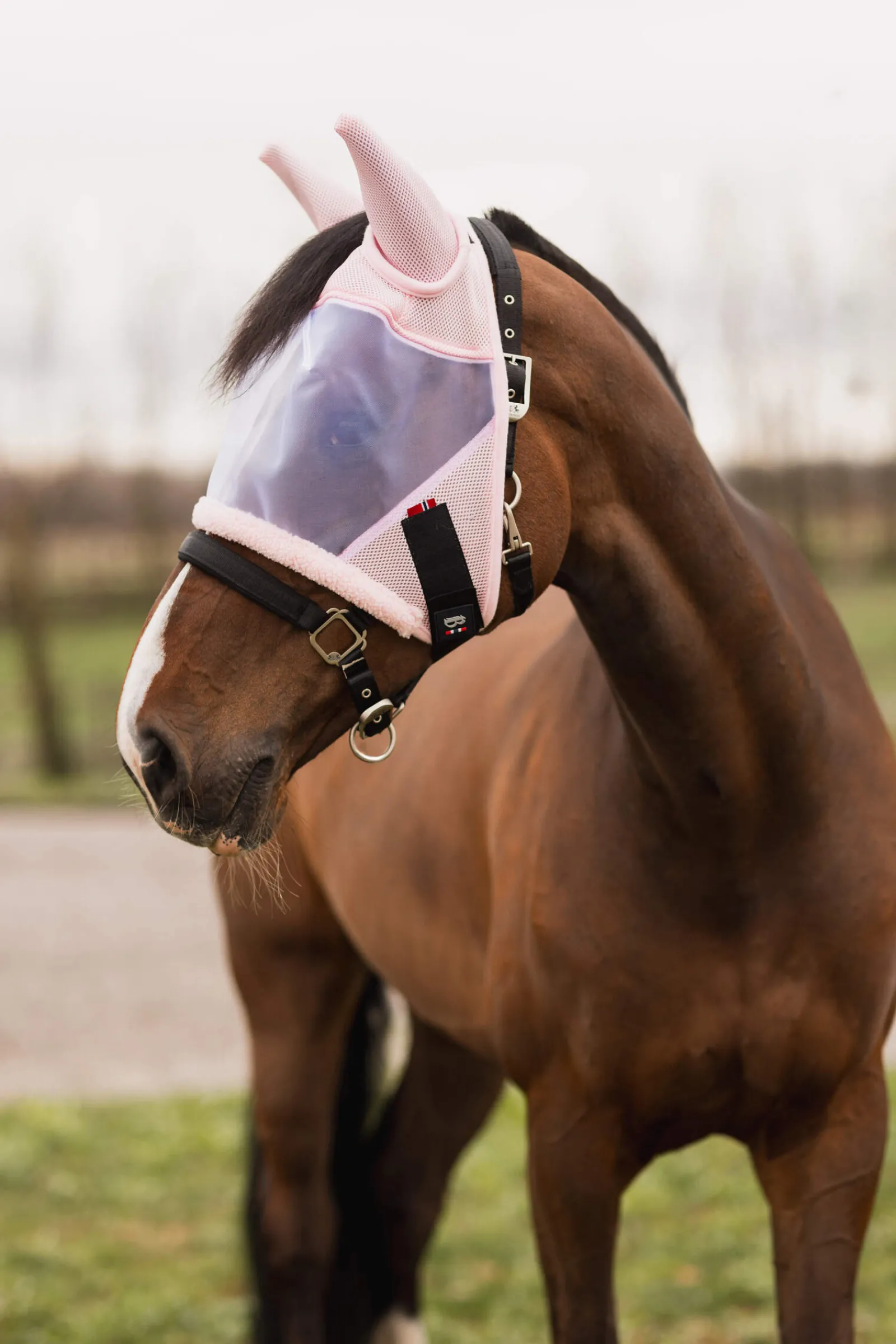 Sale B Vertigo Rouge Reflection Fly Mask Fly Masks & Fringes|Fly Masks & Fringes