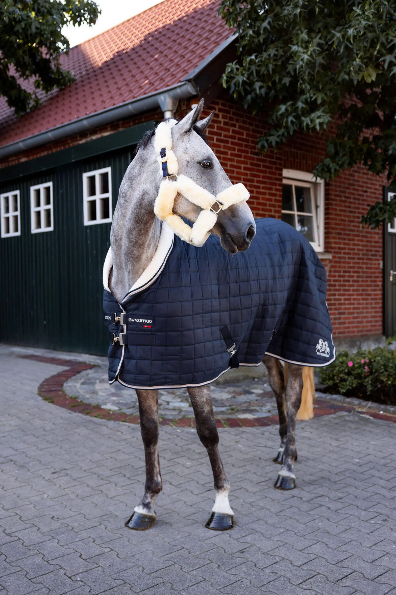 Discount B Vertigo Theo Stable Rug, 150g Stable Rugs & Liners