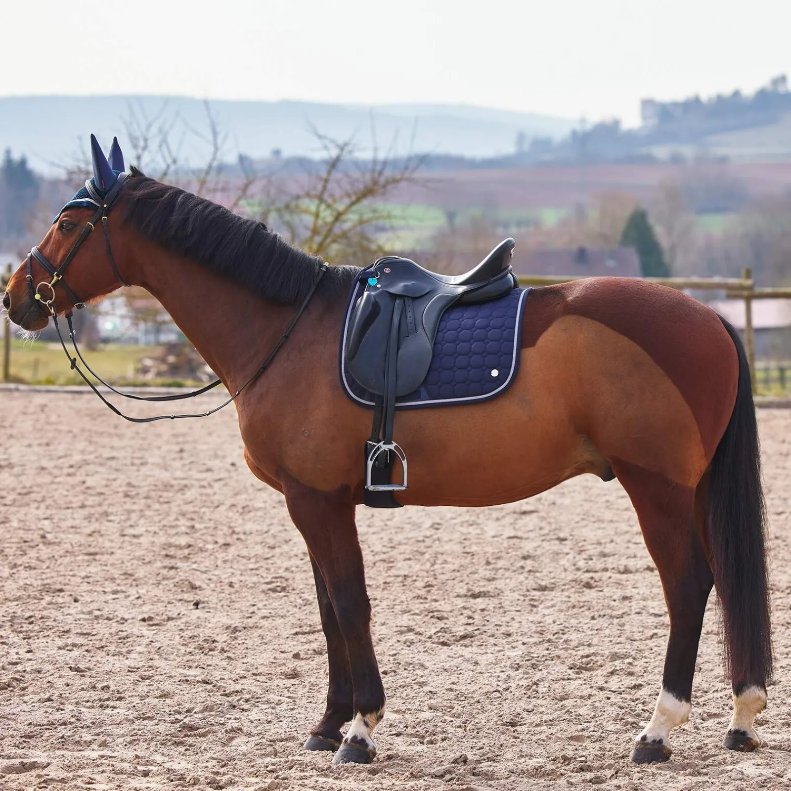 Best B Vertigo Zurich Dressage Saddle Pad Dressage Saddle Pads
