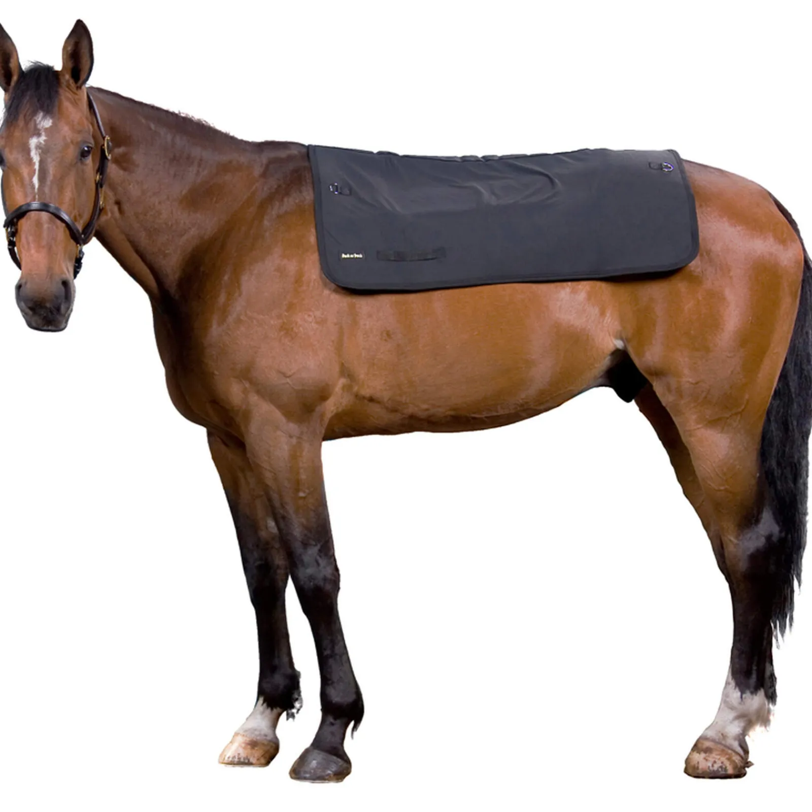 Online Back on Track Back Warmer, 100cm x 120cm Therapy Rugs|Saddle Pad Accessories