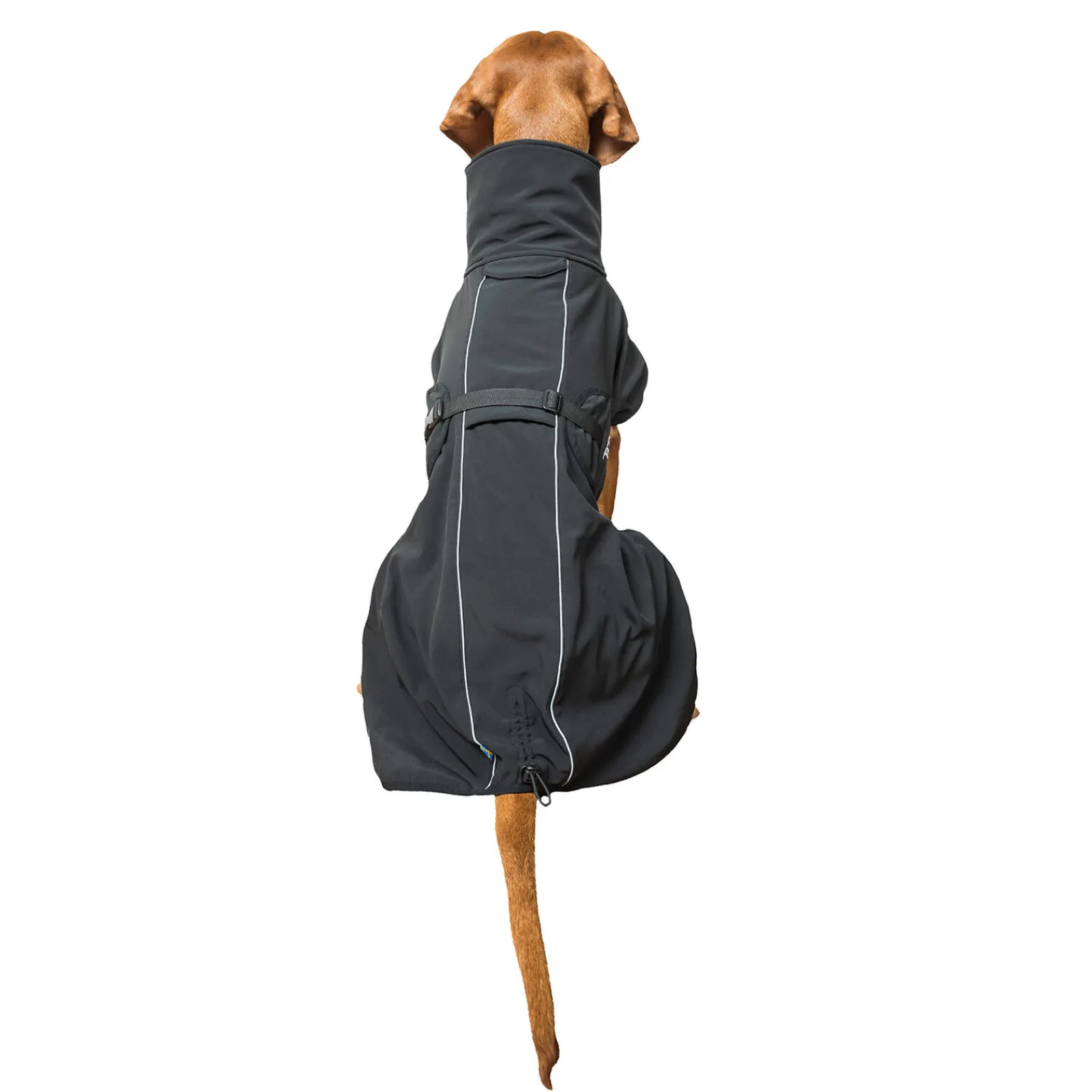 Discount Back on Track Bark All-Round Dog Coat, 55-65cm Dog Rugs & Coats