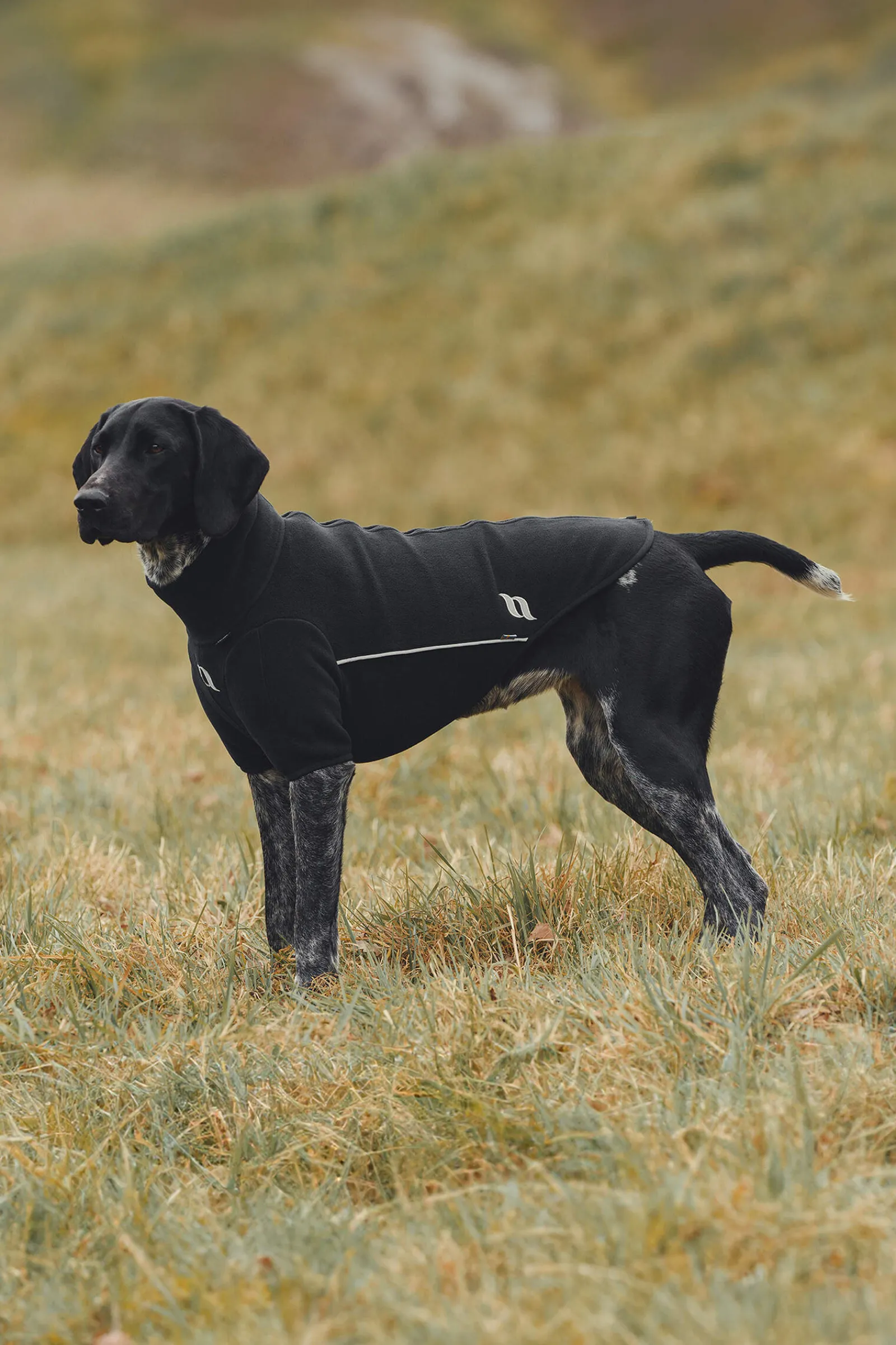 New Back on Track Cassie All-Weather Jumper, 65-70cm Dog Rugs & Coats