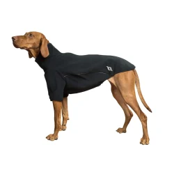 Fashion Back on Track Cassie All-Weather Jumper, 35-40cm Dog Rugs & Coats