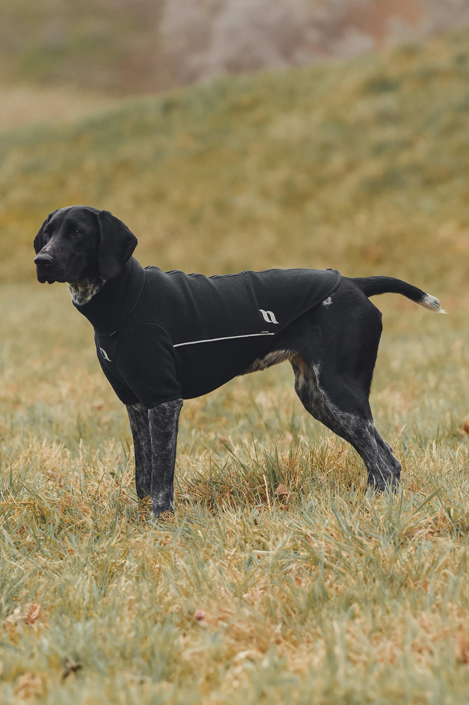 Sale Back on Track Cassie All-Weather Jumper, 55-60cm Dog Rugs & Coats