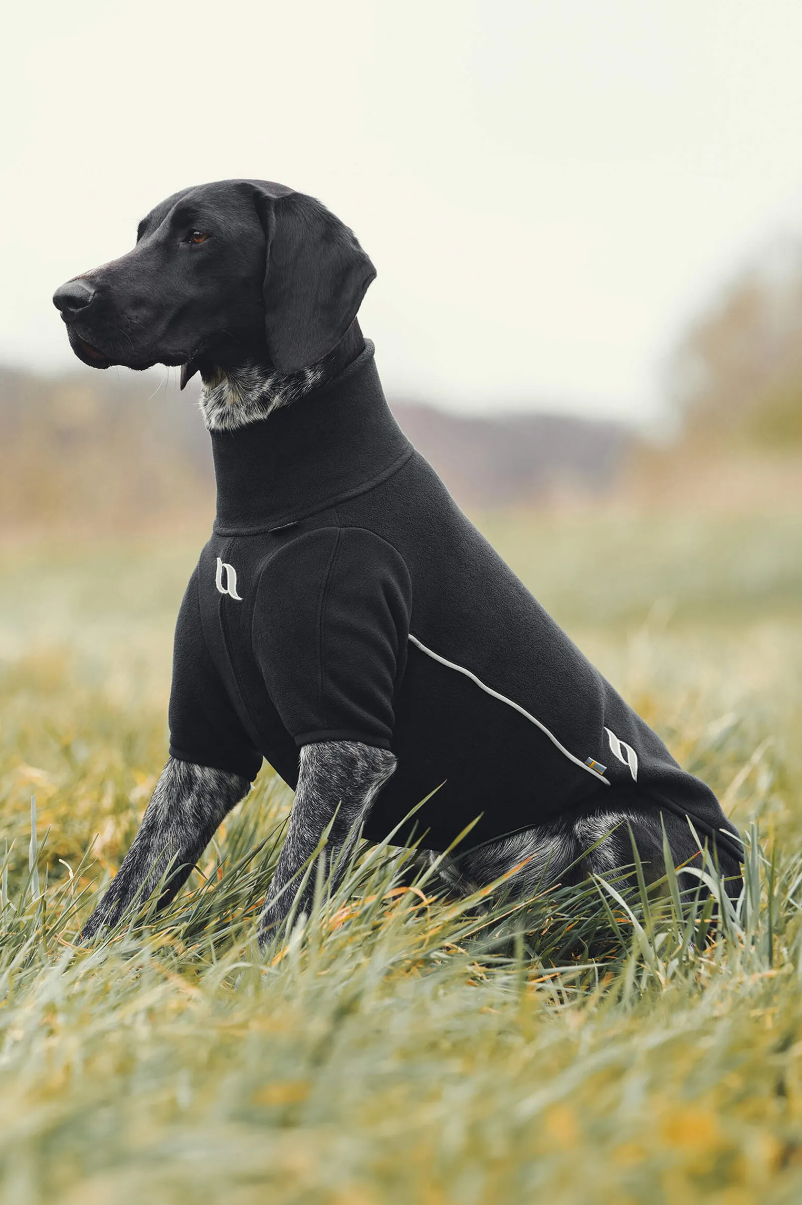 Online Back on Track Cassie All-Weather Jumper, 25-30cm Dog Rugs & Coats