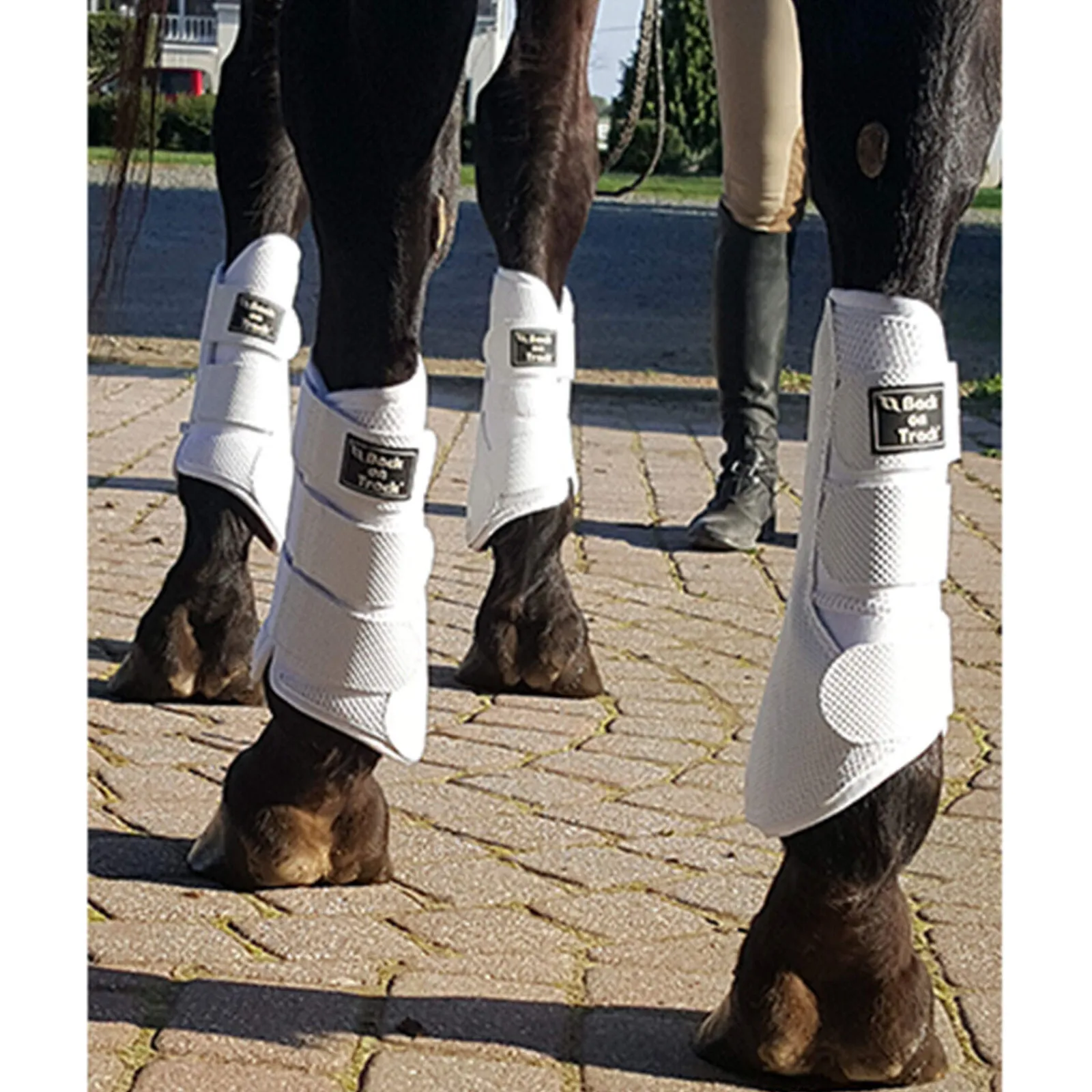 New Back on Track 3D Mesh Brushing Boots, L-XL Horse Boots