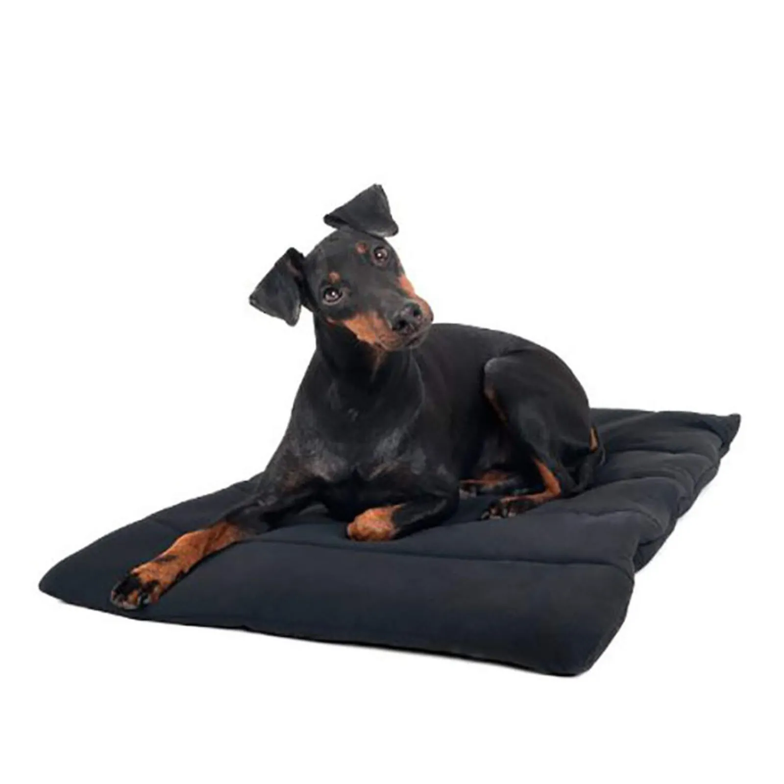 Fashion Back on Track Dog Blanket Dog Rugs & Coats