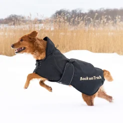 Discount Back on Track Dog Rug (63-91) Dog Rugs & Coats