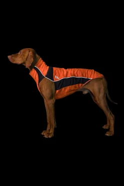 Fashion Back on Track Eddie High-Visibility Jumper, 40-45cm Dog Rugs & Coats