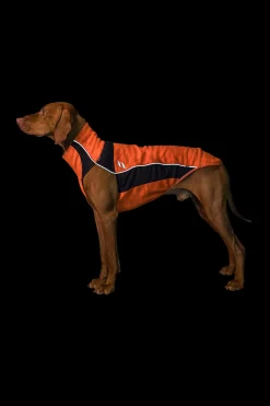 Clearance Back on Track Eddie Petite High-Visibility Jumper, 30-35cm Dog Rugs & Coats