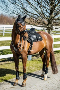 Clearance Back on Track Haze Collection Saddle Pad Jumping Pony Saddle Pads|All Purpose & Jumping Saddle Pads