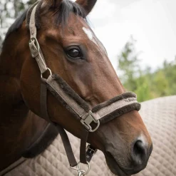 Best Back on Track Haze Collection Halter Headcollars & Halters