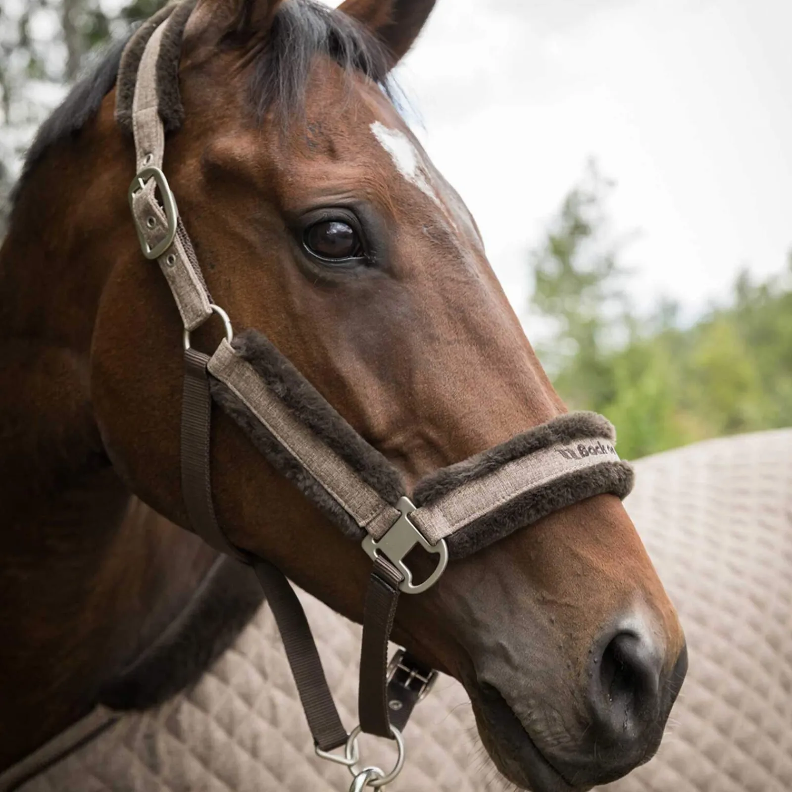 Best Back on Track Haze Collection Halter Headcollars & Halters