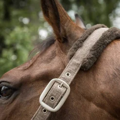 Best Back on Track Haze Collection Halter Headcollars & Halters