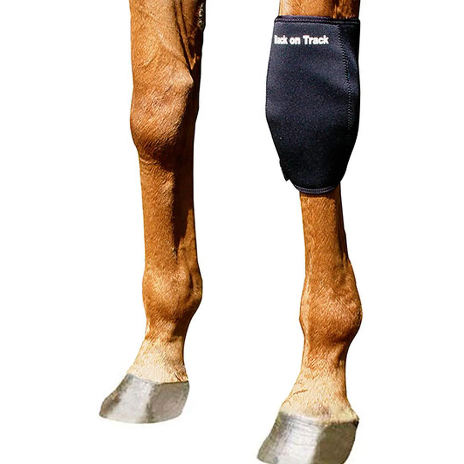 Outlet Back On Track Knee boot, Left Hock & Knee Boots