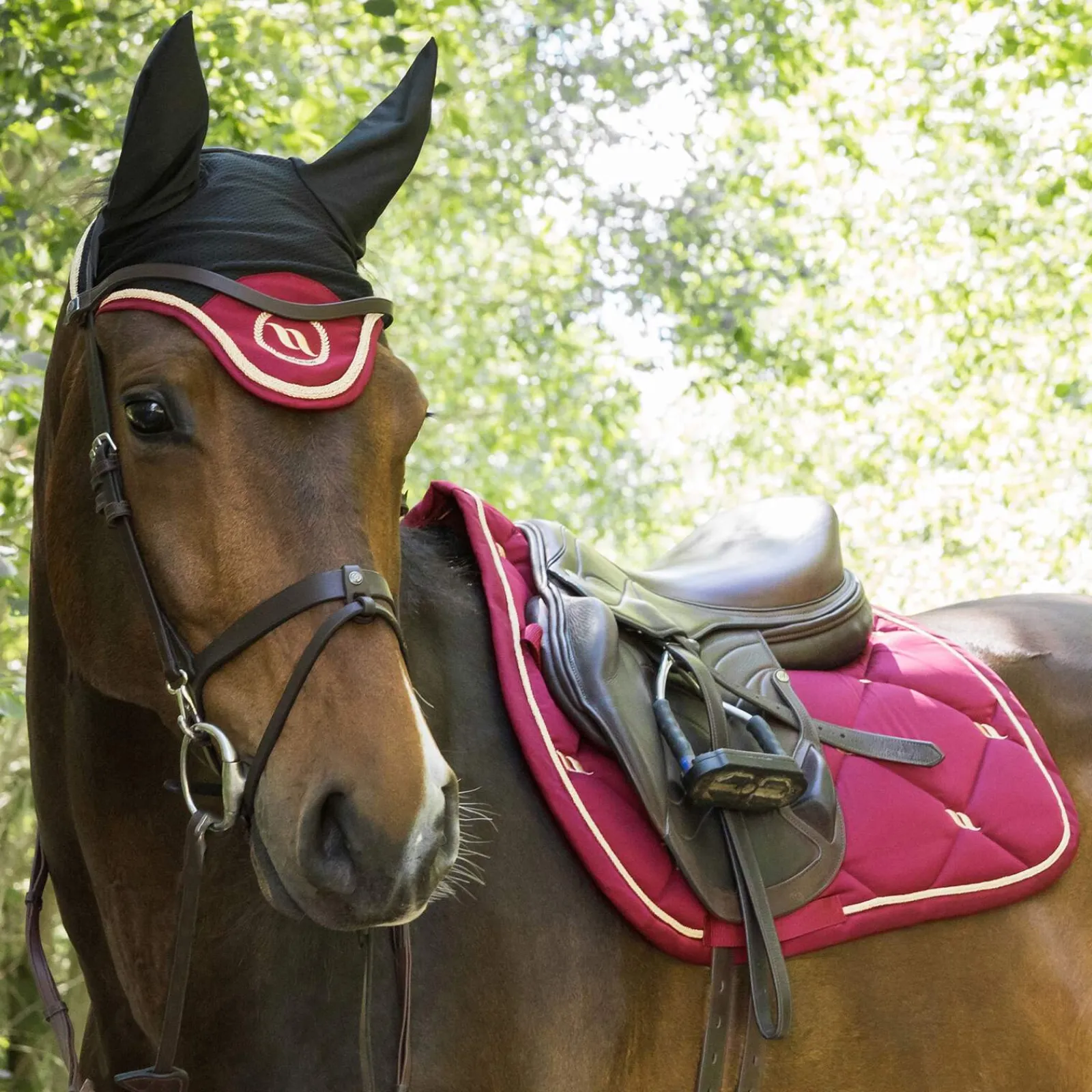 Sale Back on Track Nights Collection Horse Bonnet With Welltex® Ear Bonnets & Fly Veils|Ear Bonnets & Fly Veils