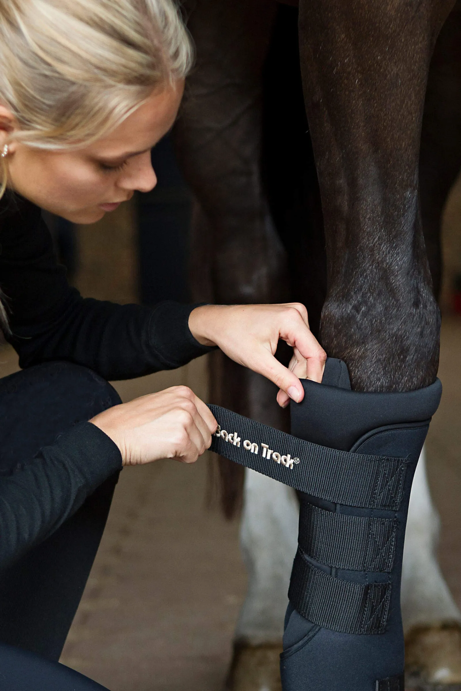 Discount Back On Track Quick Royal Leg Wraps Horse Boots