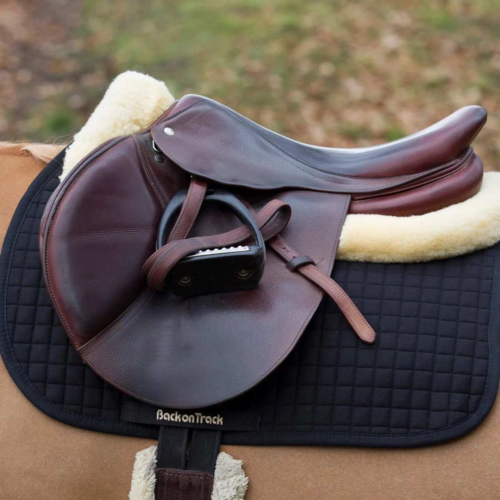 New Back on Track Saddle pad Jumping, No. 1 Pony Saddle Pads|All Purpose & Jumping Saddle Pads