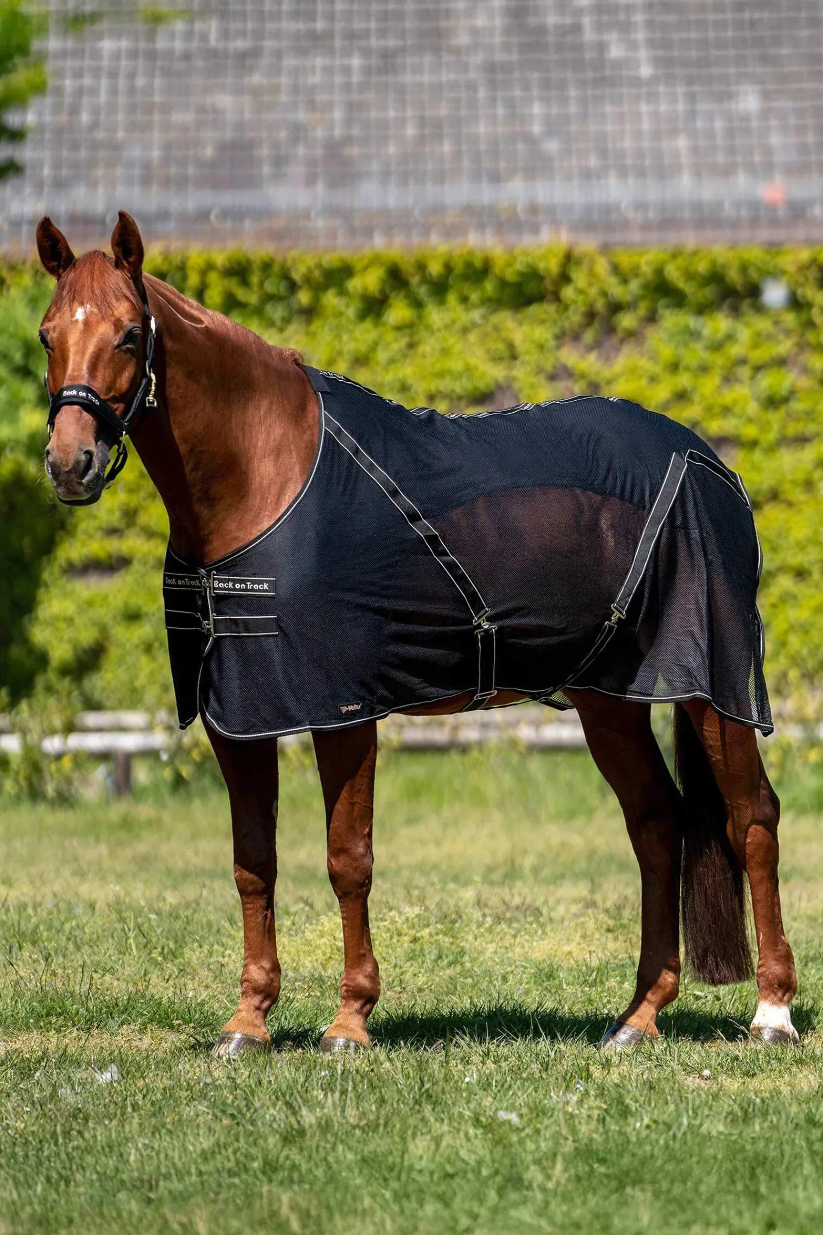 New Back on Track Sienna Cooler Fleece Horse Rugs & Cooler Rugs