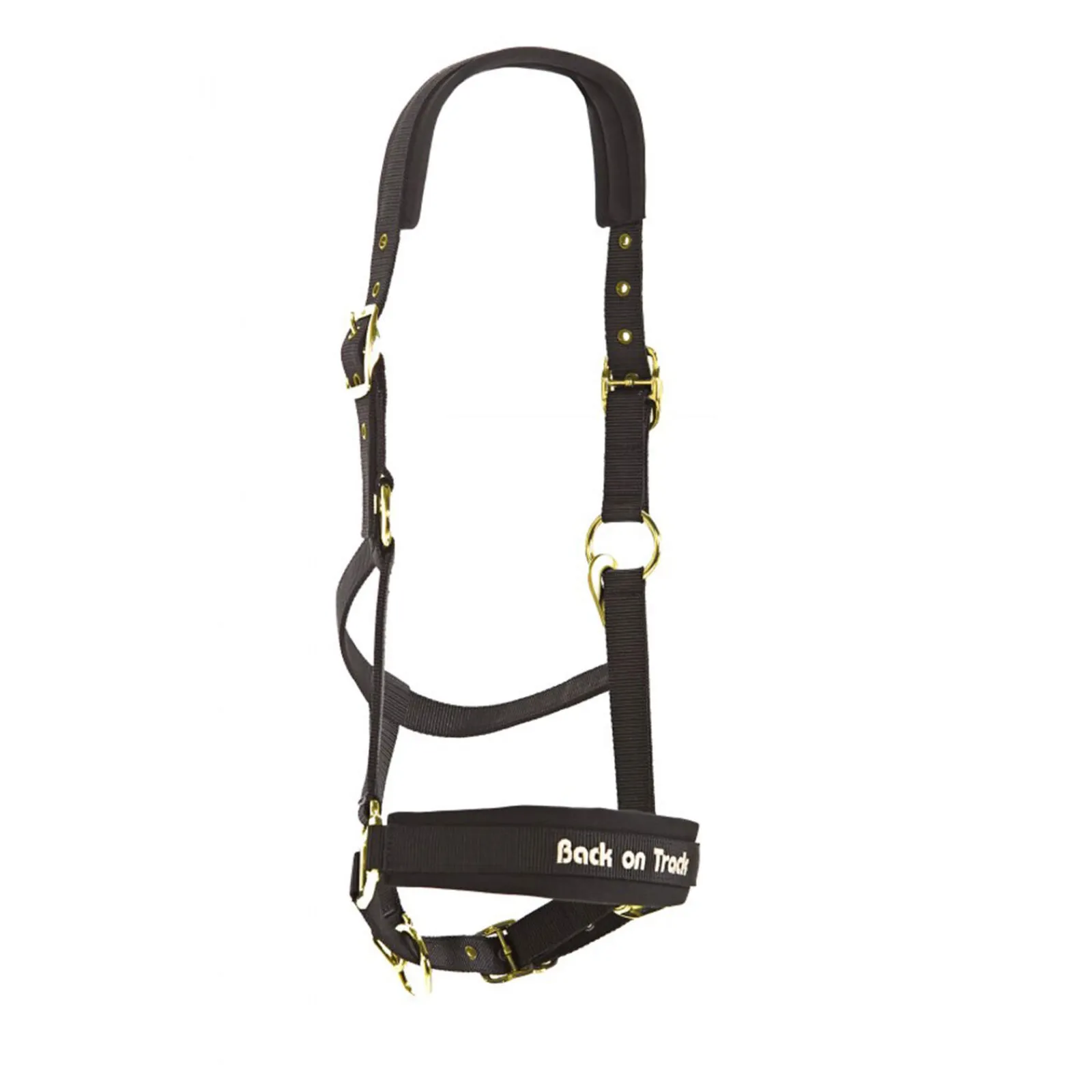 Discount Back on Track Werano Halter Headcollars & Halters