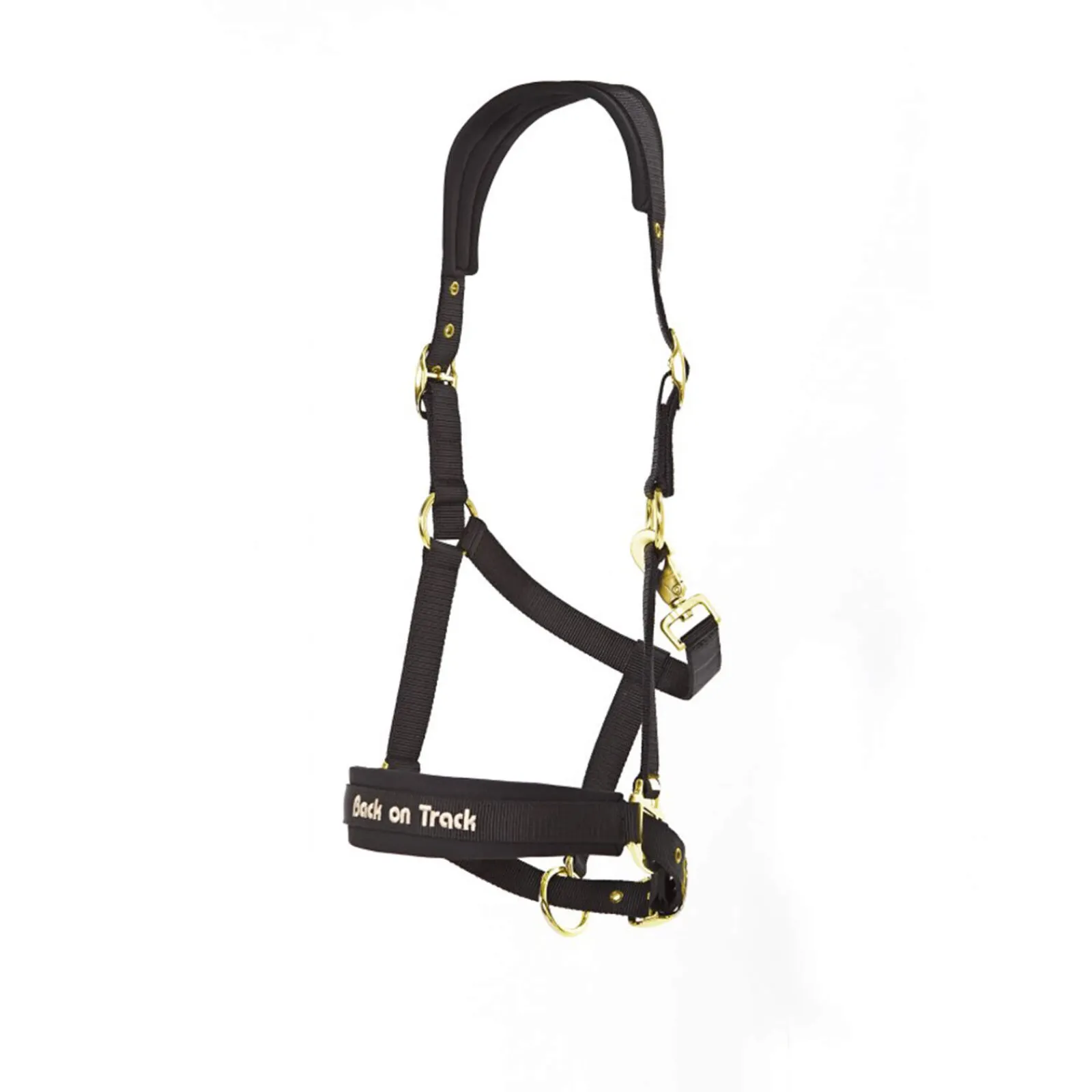 Discount Back on Track Werano Halter Headcollars & Halters
