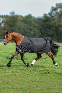 Outlet Anniversary SD Light Rain Turnout Rug, 0g Lightweight Turnout Rugs