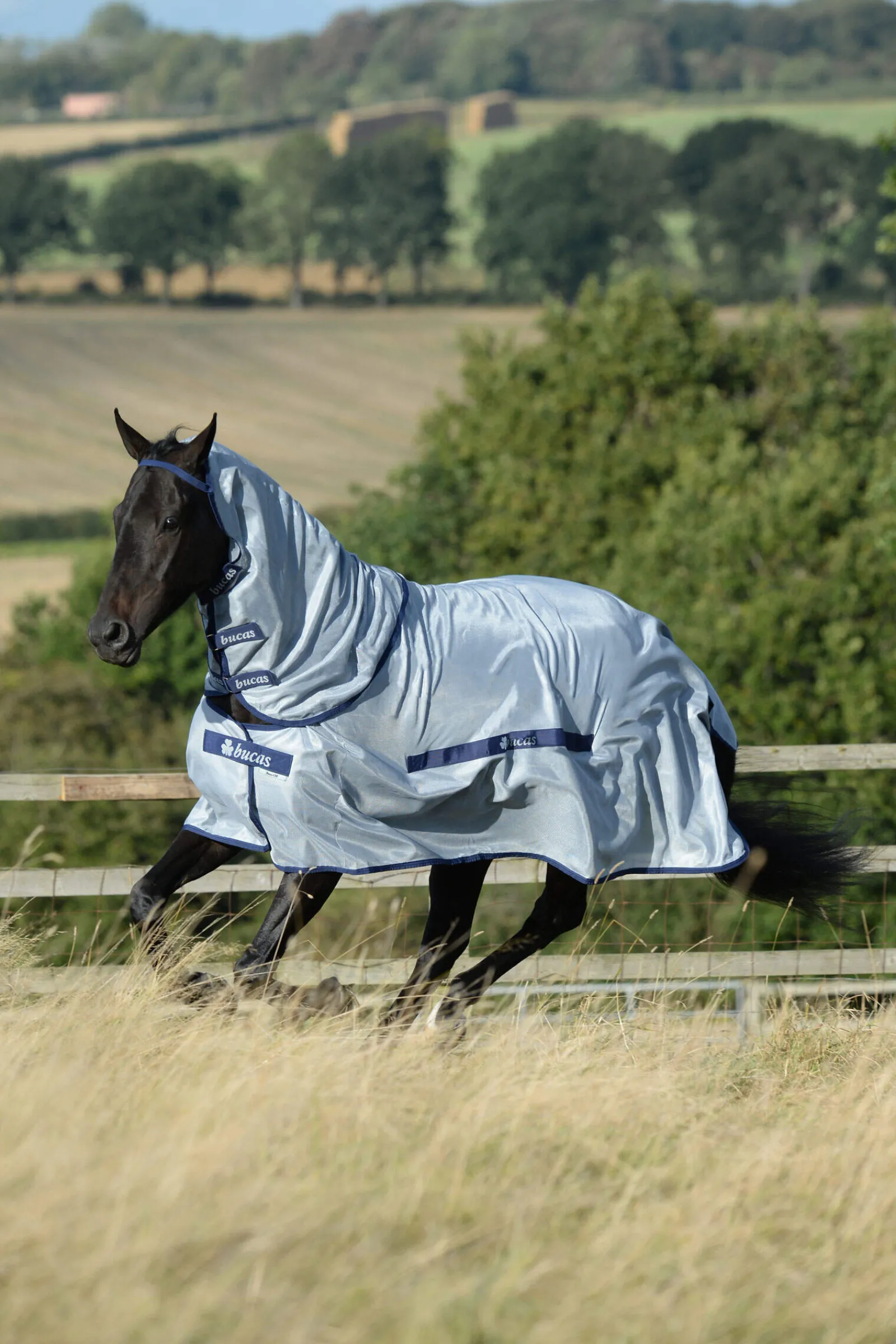 Clearance Buzz-Off Full Neck Fly Rug With Fixed Neck Fly Rugs|Fly Rugs