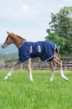 Fashion Foal Turnout Rug, 50g Lightweight Turnout Rugs