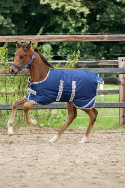 Fashion Foal Turnout Rug, 50g Lightweight Turnout Rugs