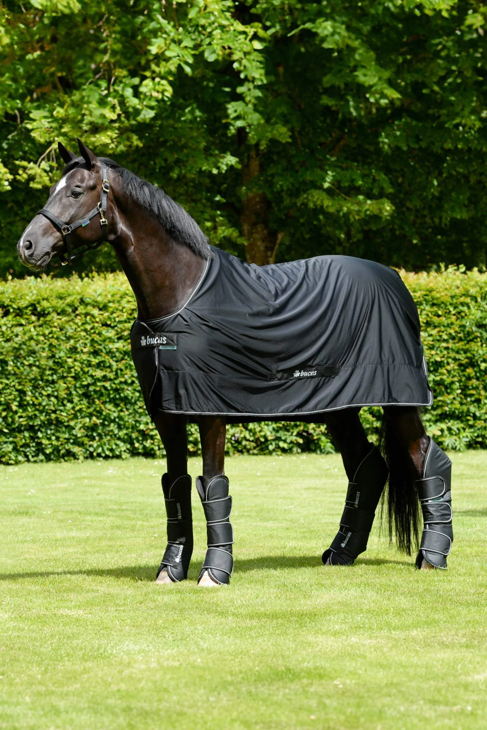 Fashion Freedom Travel Boots Horse Boots