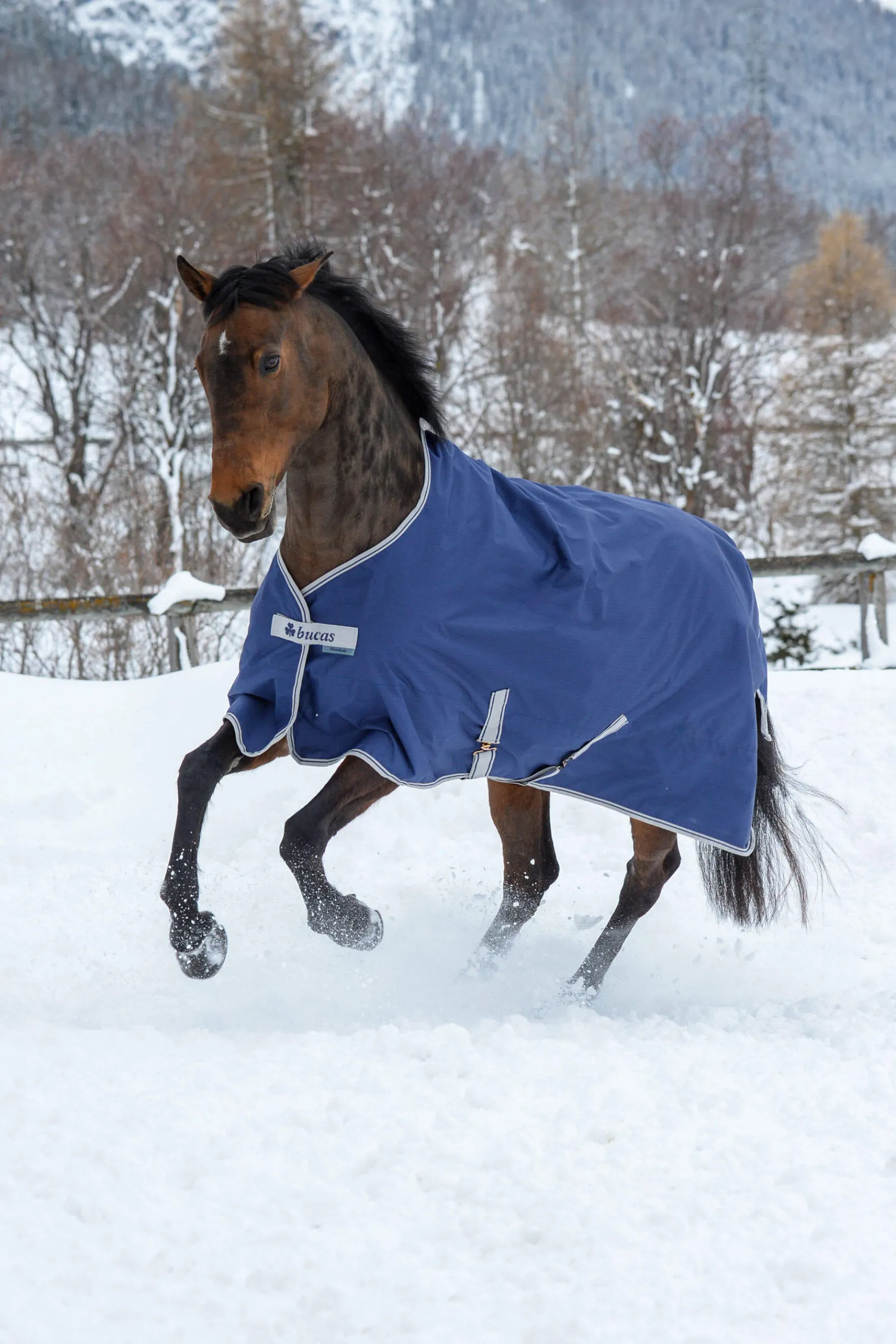 Hot Freedom Turnout Rug, 300g Medium & Heavyweight Turnout Rugs