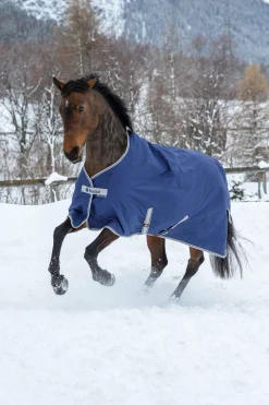 New Freedom Turnout Rug, 150g Medium & Heavyweight Turnout Rugs
