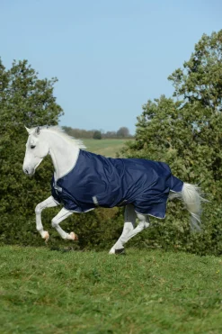 New Freedom Turnout Rug, 150g Medium & Heavyweight Turnout Rugs