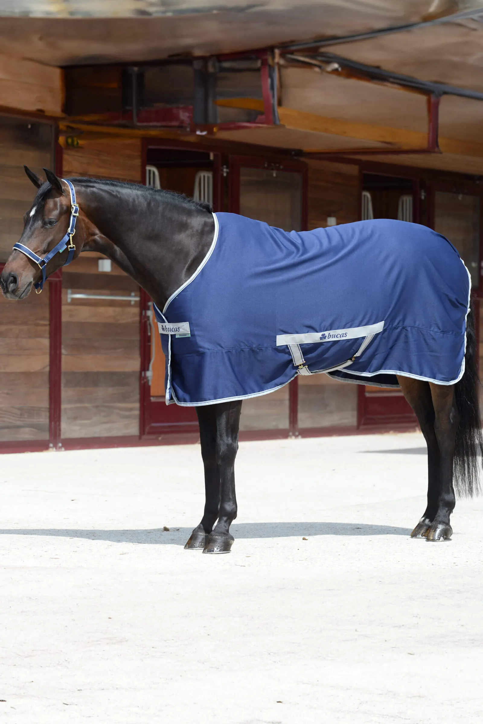Sale Freedom Twill Stable Rug, 0 g Stable Rugs & Liners|Lightweight Turnout Rugs
