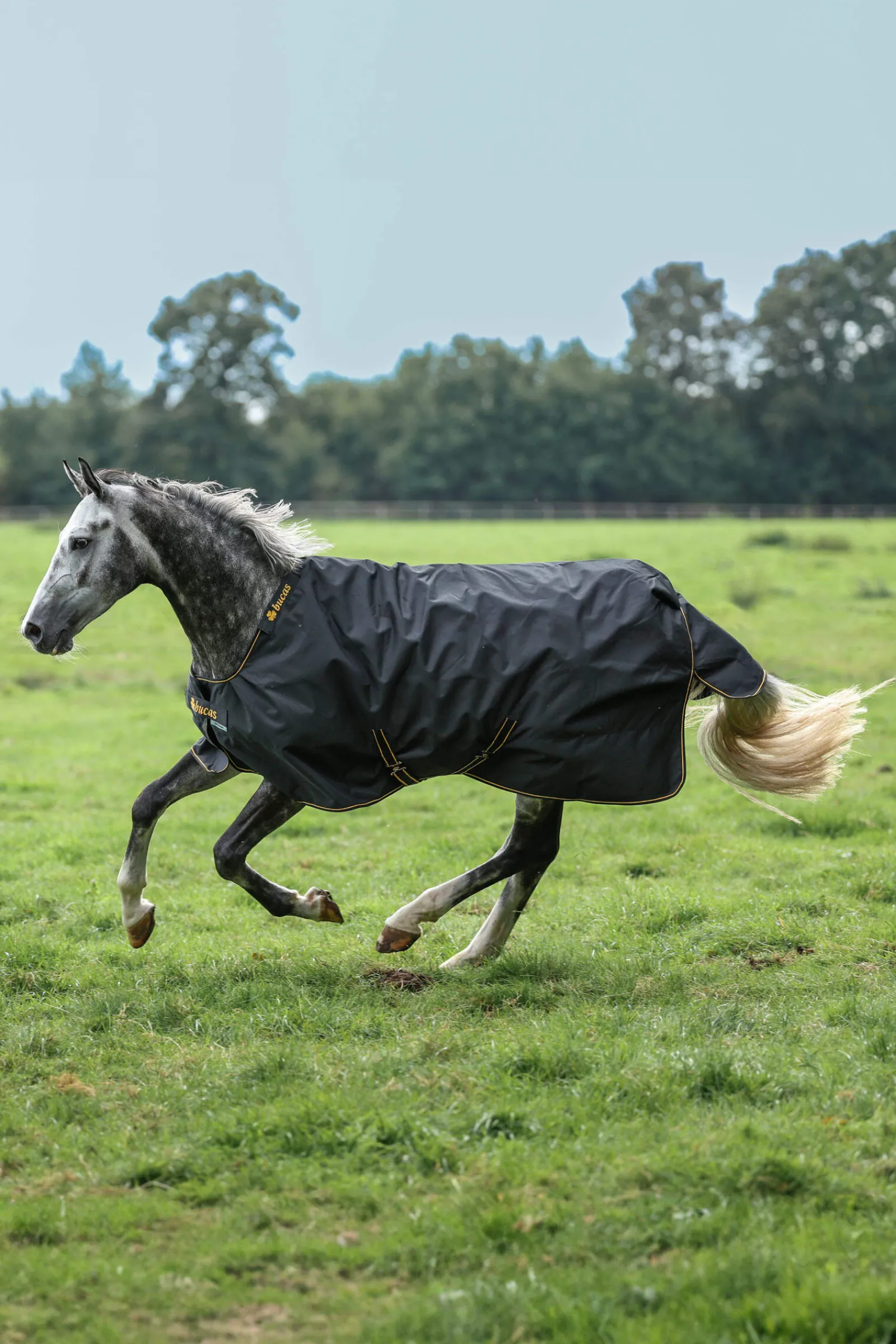 Outlet Irish Pony Turnout Rug, 50g Pony Rugs|Pony Rugs