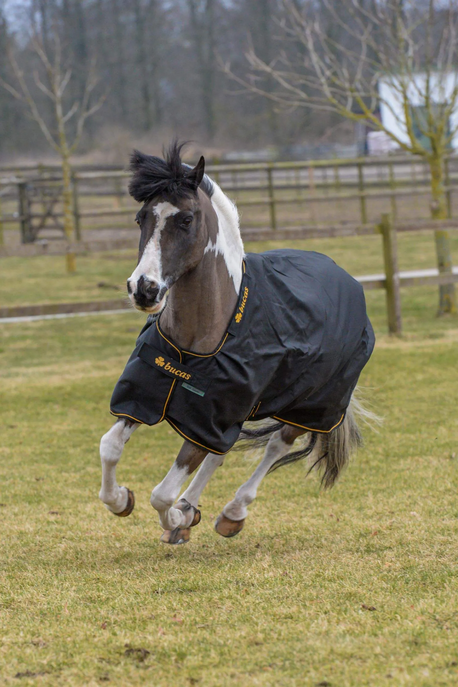 Sale Irish Turnout Rug, 150g Lightweight Turnout Rugs