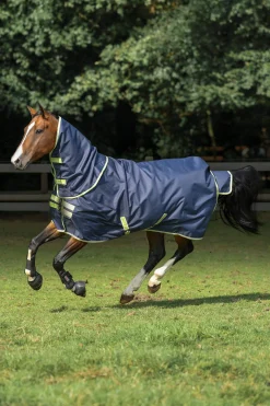 Best Oasis Turnout + Neck Set, 100g Lightweight Turnout Rugs